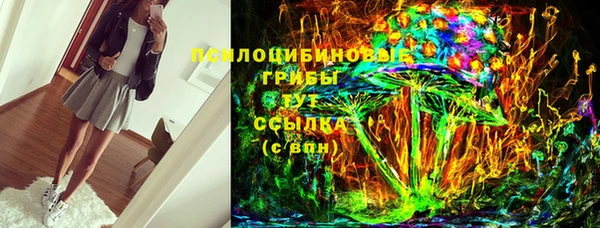 прущие грибы Ахтубинск
