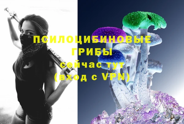 ECSTASY Пестово