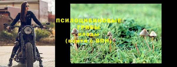 сатива Аша