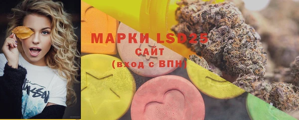 ECSTASY Пестово