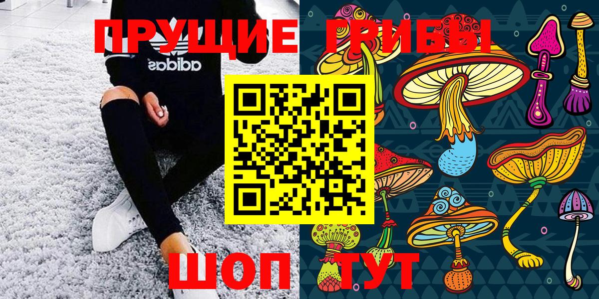 Псилоцибиновые грибы мухоморы Ачинск